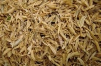 ● بهبود خواص سرامیک‌های مورد نیاز صنایع هوافضا با سبوس برنج
